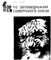 book-design-110.gif