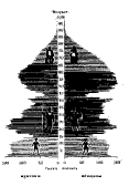 book-design-67.gif