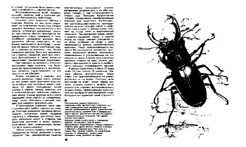 book-design-77.gif